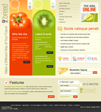 Создание сайтов