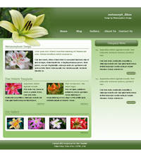 Продвижение сайтов